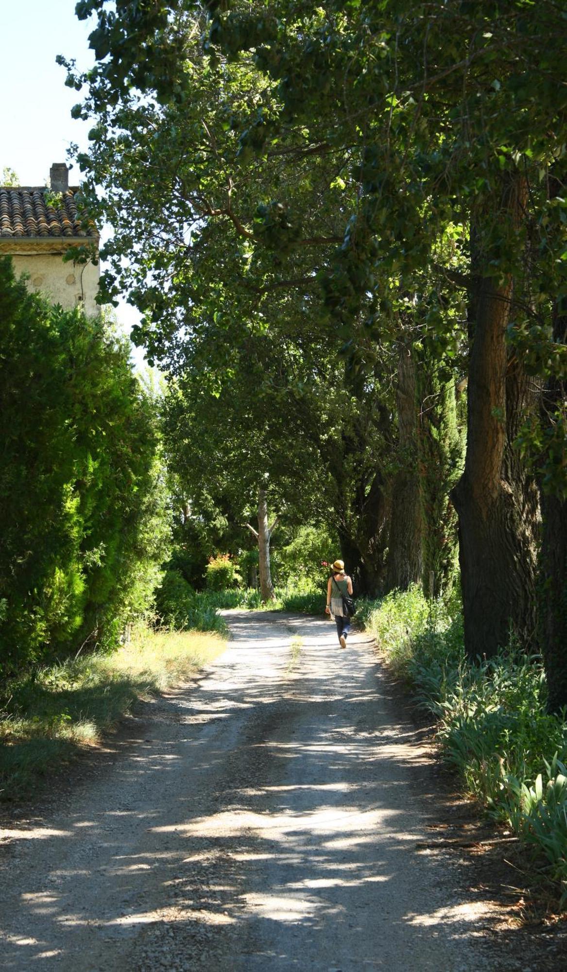 La Nesquiere Chambres D'Hotes Pernes-les-Fontaines Εξωτερικό φωτογραφία